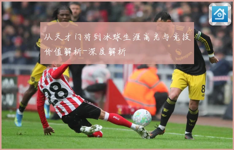 从天才门将到冰球生涯高光与竞技价值解析-深度解析